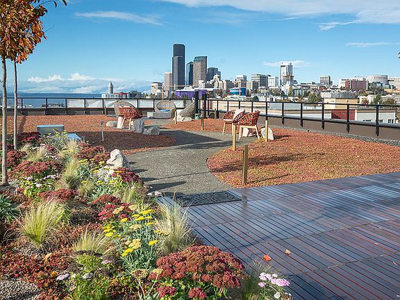 1801 S Jackson St Seattle, WA, 98144 Apartments for Rent