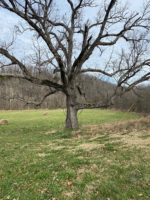 2nd image of Rocky Ridge Trl