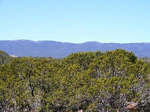 3rd image of 35 Camino Del Arriba