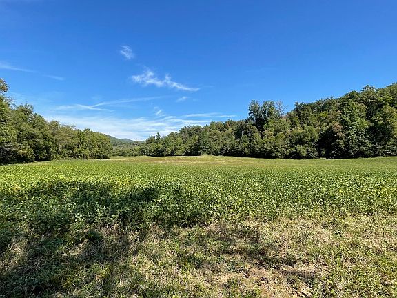 3rd image of 37 Jarrett Rd