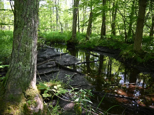 0 E 36th St, Newaygo, MI 49337