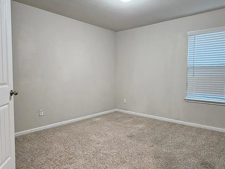 4339 Isaac Bay Dr — Photo 10
