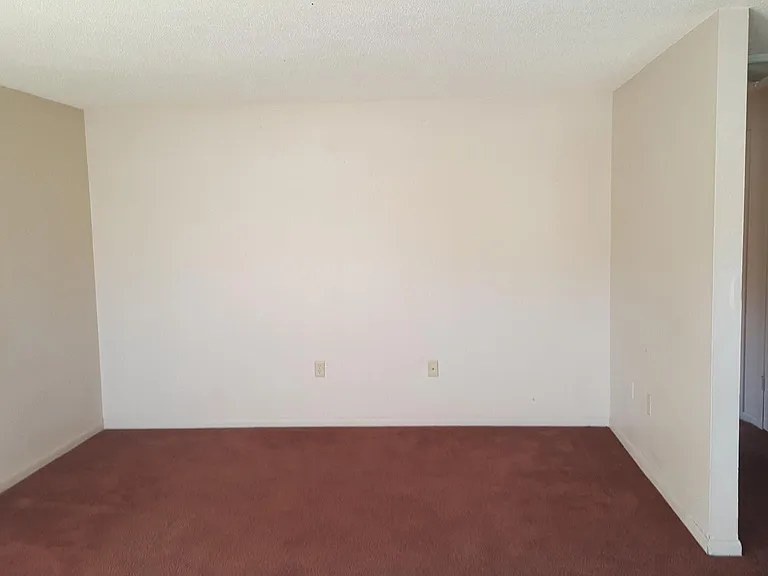 6536 W Norvell Bryant Hwy #3 — Photo 3
