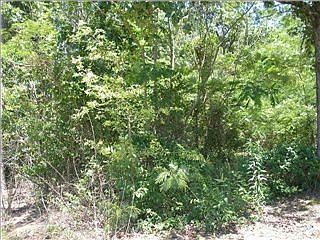 2nd image of 12083 Knoll Rd