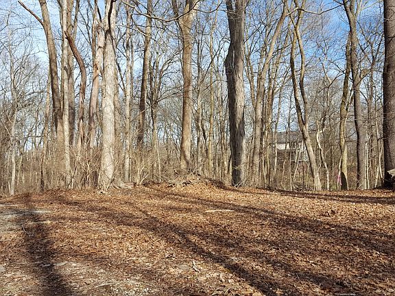 5th image of 116 Deer Ln