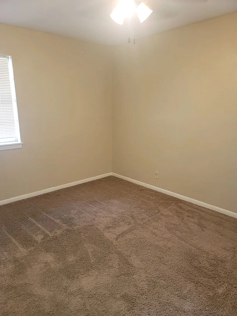 4 Bedroom 2 Bath in The Avenues — Photo 4