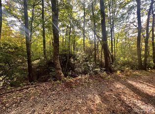 93 Full Moon Trl #2, Black Mountain, NC 28711