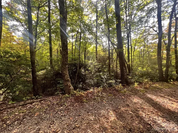 93 Full Moon Trl #2, Black Mountain, NC 28711