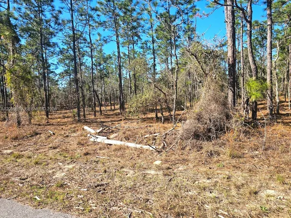 No Situs Nw Shamrock Ave, Dunnellon, FL 34431