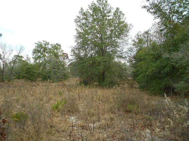 1st image of Lot 35 NE 796th St