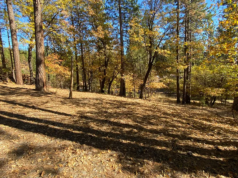 2675 N Valley Rd — Photo 10