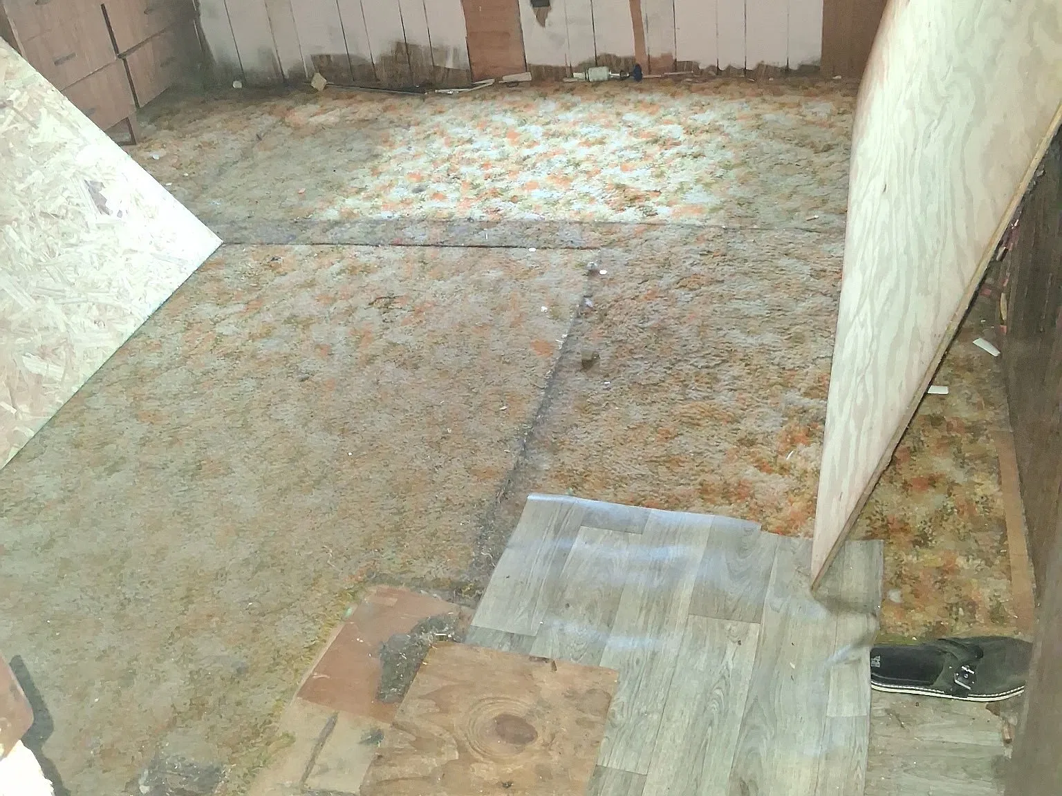 2 bed, $375 — Photo 4