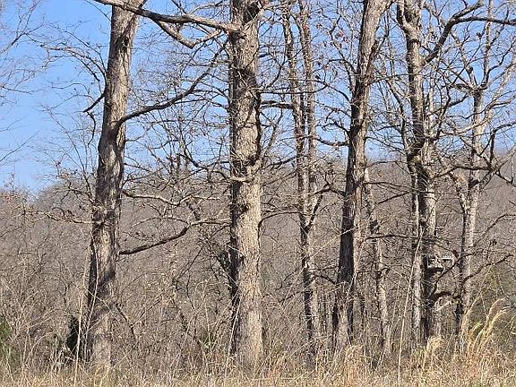 2nd image of 0 Riverside Dr