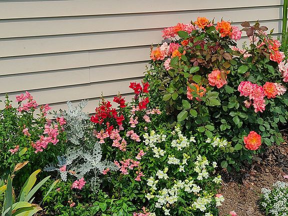 3rd image of 1309 Twin Flower Dr