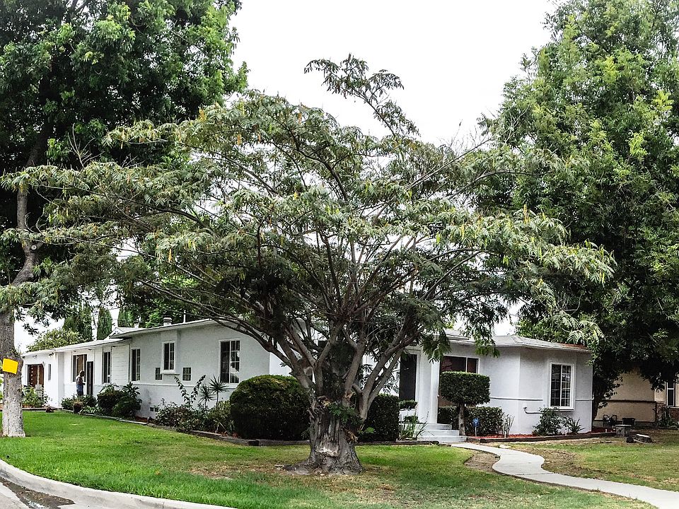Corner Lot with Shaded trees