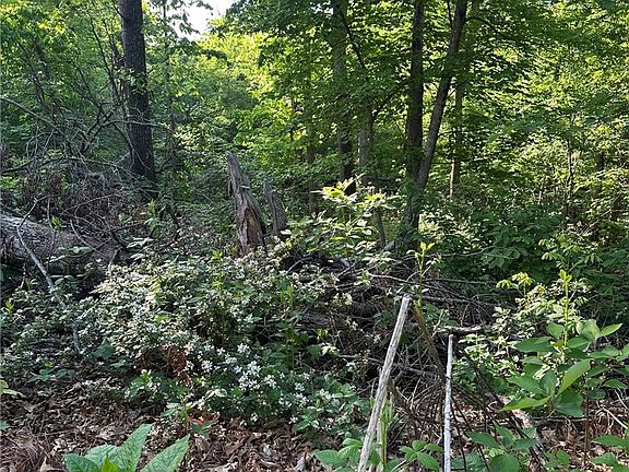 2nd image of Greenlaw Ln #8&9