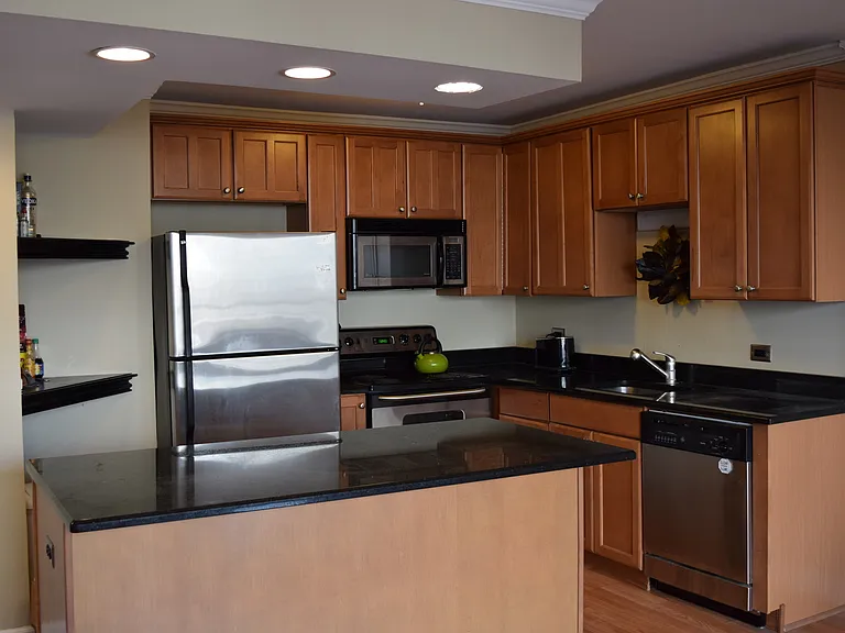 1360 N Sandburg Ter #410 — Photo 8
