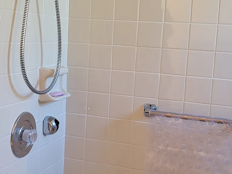 Pine Meadows master shower_02152023