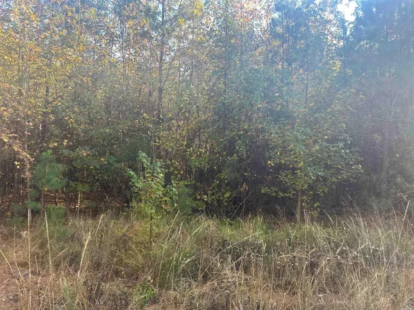 164 Hot Springs Dr, Arkadelphia, AR 71923