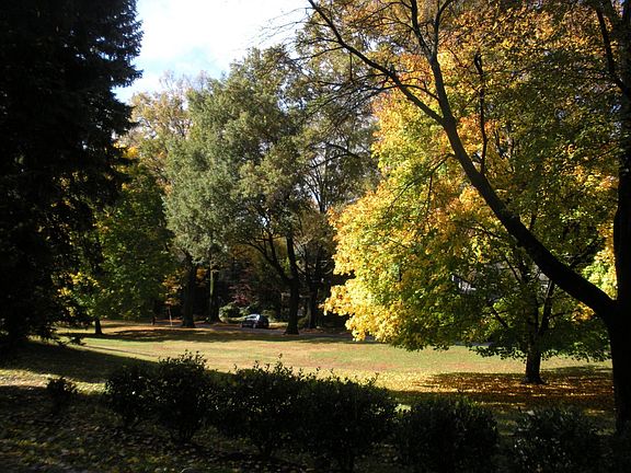 park across the street