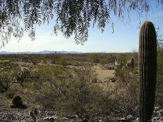 western view from back yard