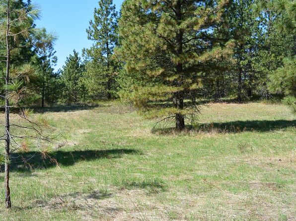 Hoag Rd, Valley, WA 99181