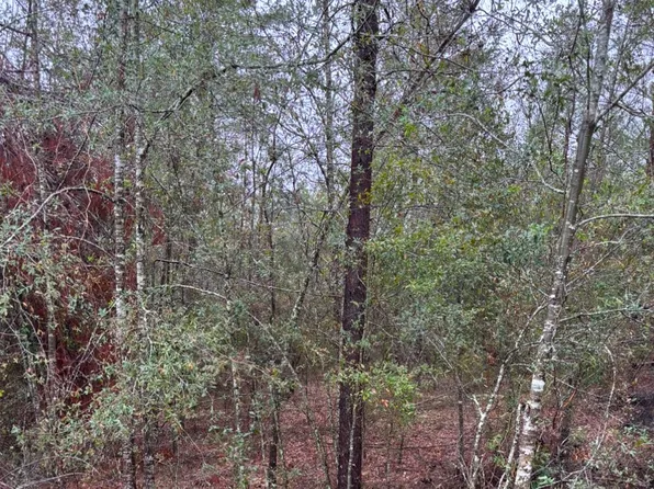33 Southwest Loop, Jasper, FL 32052