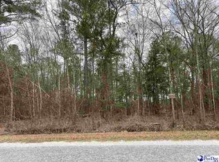 LOT 45 Club Dr, Lamar, SC 29069