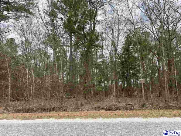 LOT 45 Club Dr, Lamar, SC 29069