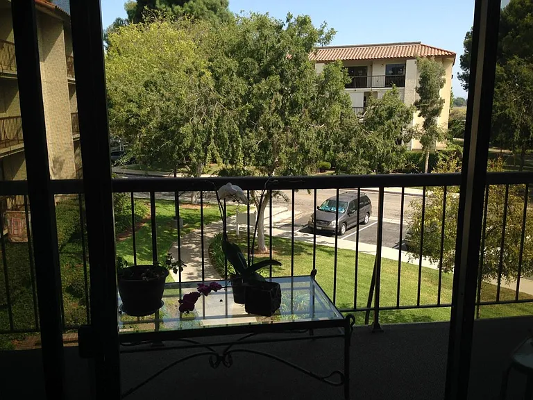 Living Room Balcony