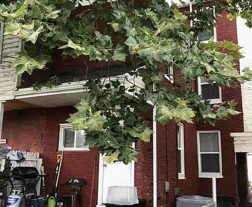 2nd image of 1049 Lititz Ave
