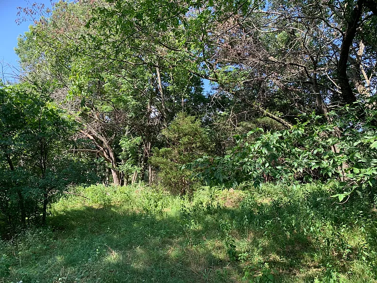 19248 Newton Rd — Photo 28
