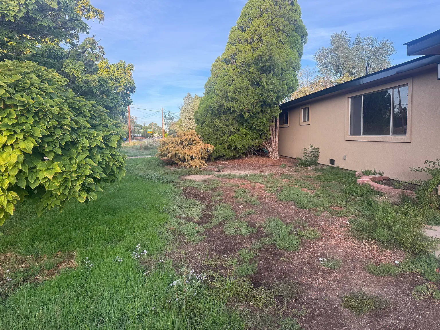 3 bed, 1.5 bath, 1918 sqft, $2,400 — Photo 3