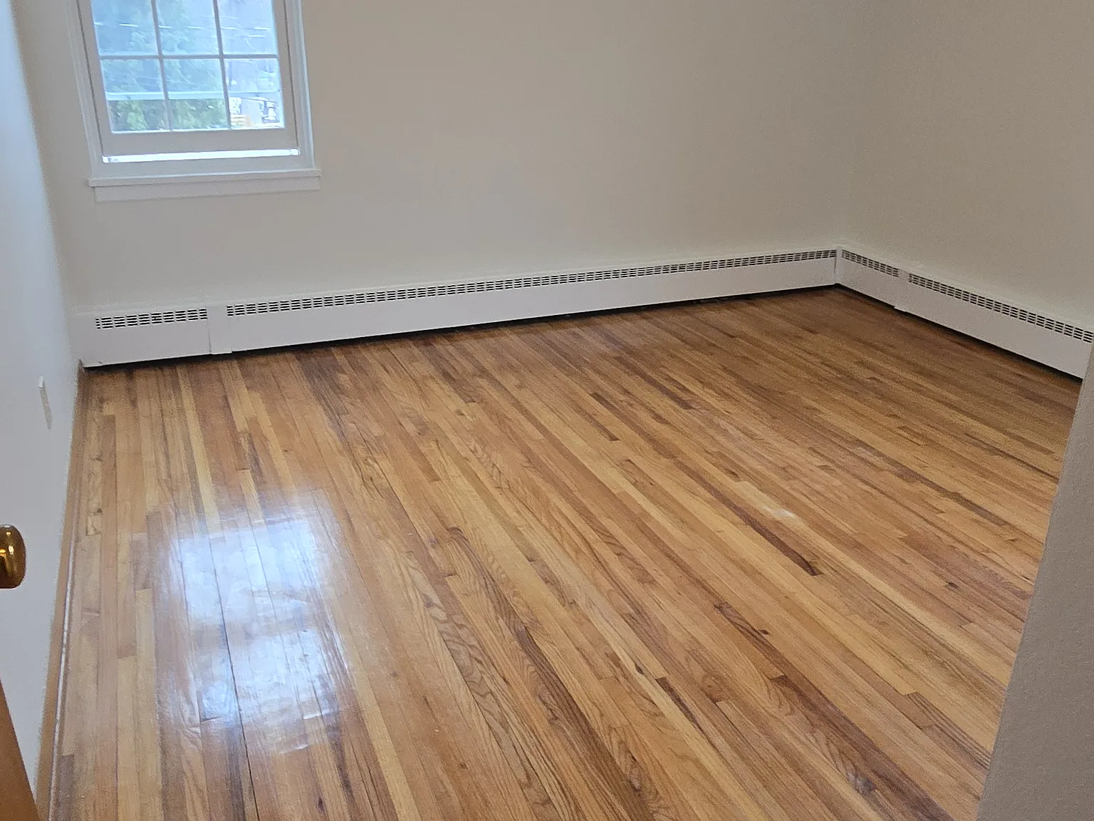 1 bed, 650 sqft, $1,100 — Photo 4