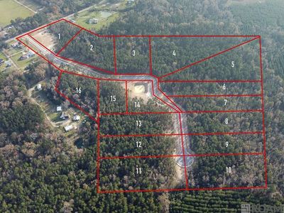 18592 Settlement Trce, Livingston, LA, 70754