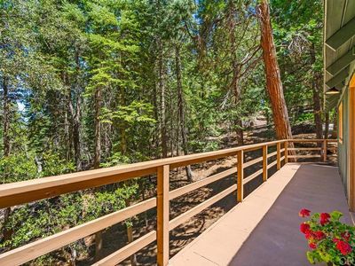 22058 Crestline Rd, Palomar Mountain, CA, 92060