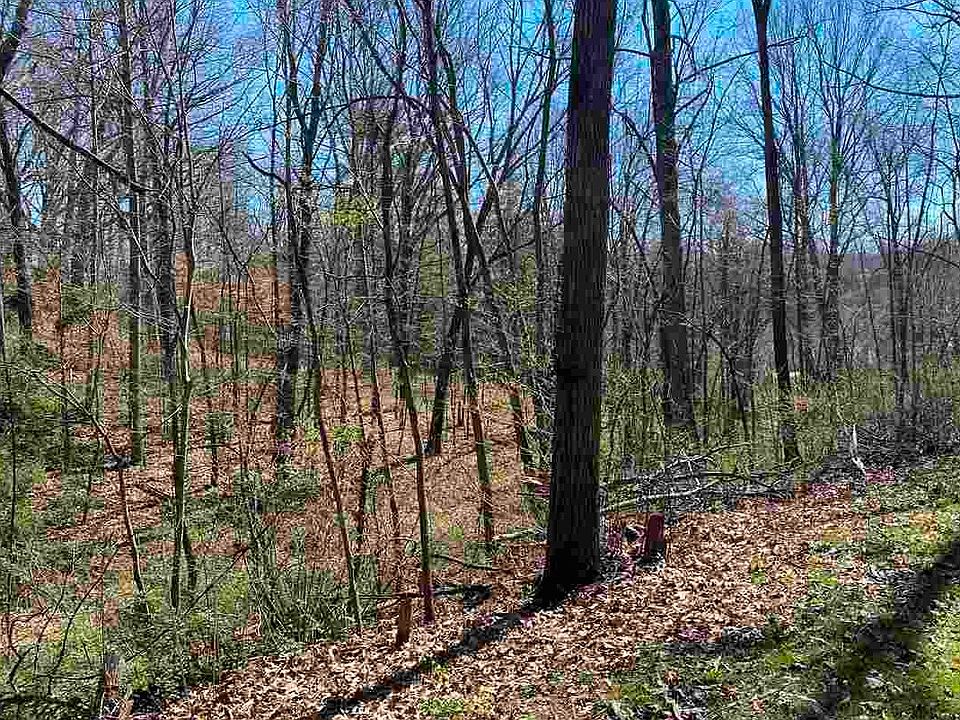 1st image of Buckhaven Ct