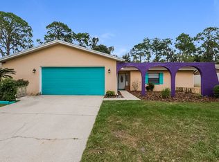 3910 Briarlake Dr, Valrico, FL 33596