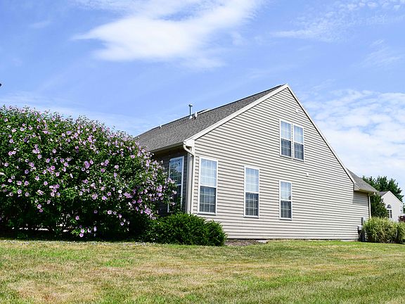Side View