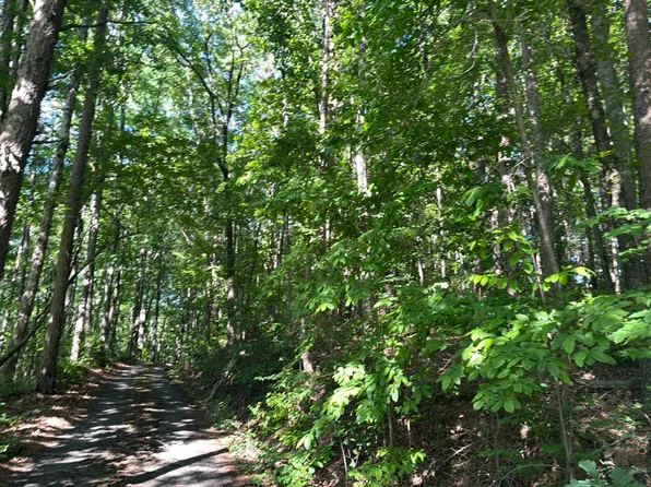 181 McClure Hill Ln, Ringgold, GA 30736
