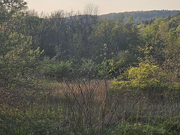 3rd image of Callapoose Rd