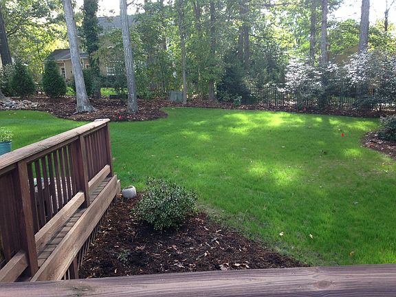 Newly seeded lush lawn