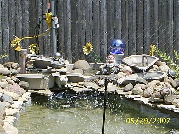 Pond in Backyard