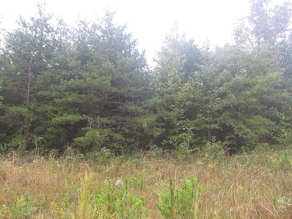 3rd image of Boyds Ferry Trl