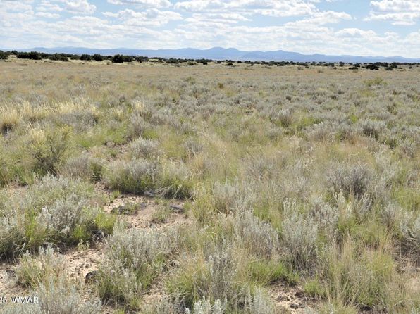 232 Acres River Springs Rnch, Saint Johns, AZ 85936