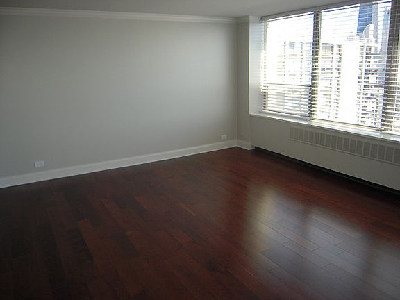 5th image of 1460 N Sandburg Ter APT 2805