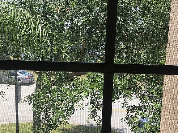 Kitchen window view