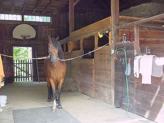 4 Story Barn w/3 horse stalls