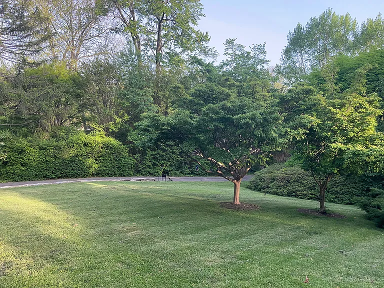 view of the front yard towards the driveway