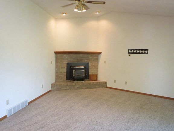 Pellet Stove Fireplace